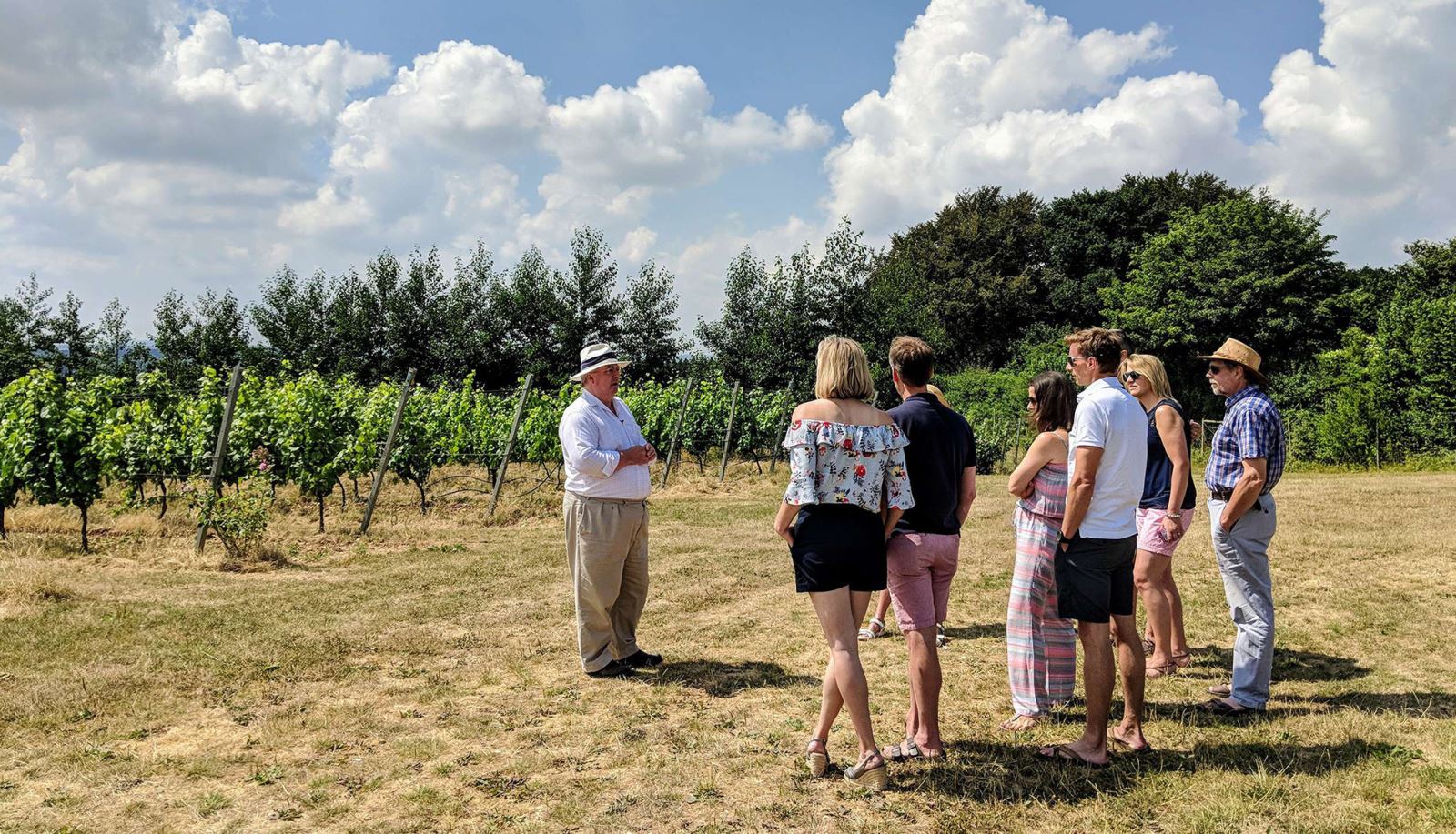 Vineyard Tours in Hampshire with Grape & Grain Tours - Hampshire MicroGap